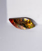 FREEFORM AMMOLITE LOOSE GEMSTONE #272