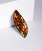 FREEFORM AMMOLITE LOOSE GEMSTONE #1978