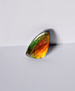 FREEFORM AMMOLITE LOOSE GEMSTONE #A117