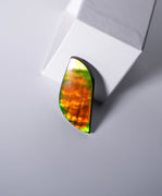 FREEFORM AMMOLITE LOOSE GEMSTONE #1976