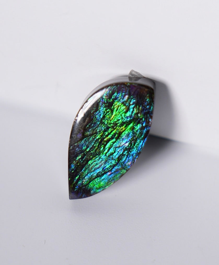 Freeform Ammolite Loose Gemstone #A352