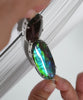 Long Oval Ammolite Pendant #1977