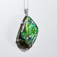 Freeform Ammolite Pendant #1983