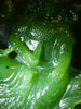 Polar Jade Guanyin Pendant Natural Jade AAA|#3006