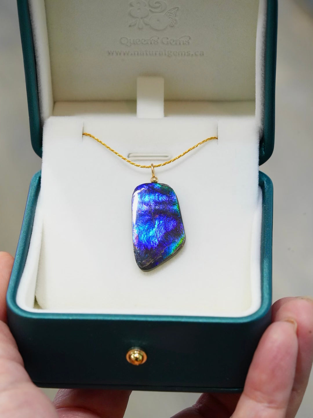 Authentic Canadian Ammolite pendant necklace featuring a 14K gold-filled gold rope design, displayed in a luxury box.
