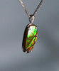 Freeform Ammolite Pendant #1998