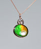 18k Ammolite Gourd Pendant #2080