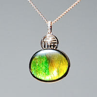 18k Ammolite Gourd Pendant #2080