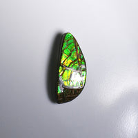 Freeform Ammolite Loose Gemstone  #A265