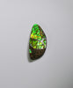 Freeform Ammolite Loose Gemstone  #A265