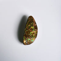 Freeform Ammolite Loose Gemstone  #A265