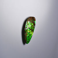 Freeform Ammolite Loose Gemstone  #A265