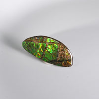 Freeform Ammolite Loose Gemstone  #A265