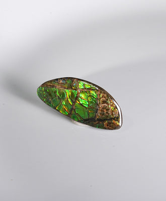 Freeform Ammolite Loose Gemstone  #A265