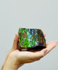 Ammolite Hand Sample Stone #605