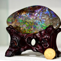 Ammolite Hand Sample Stone #616