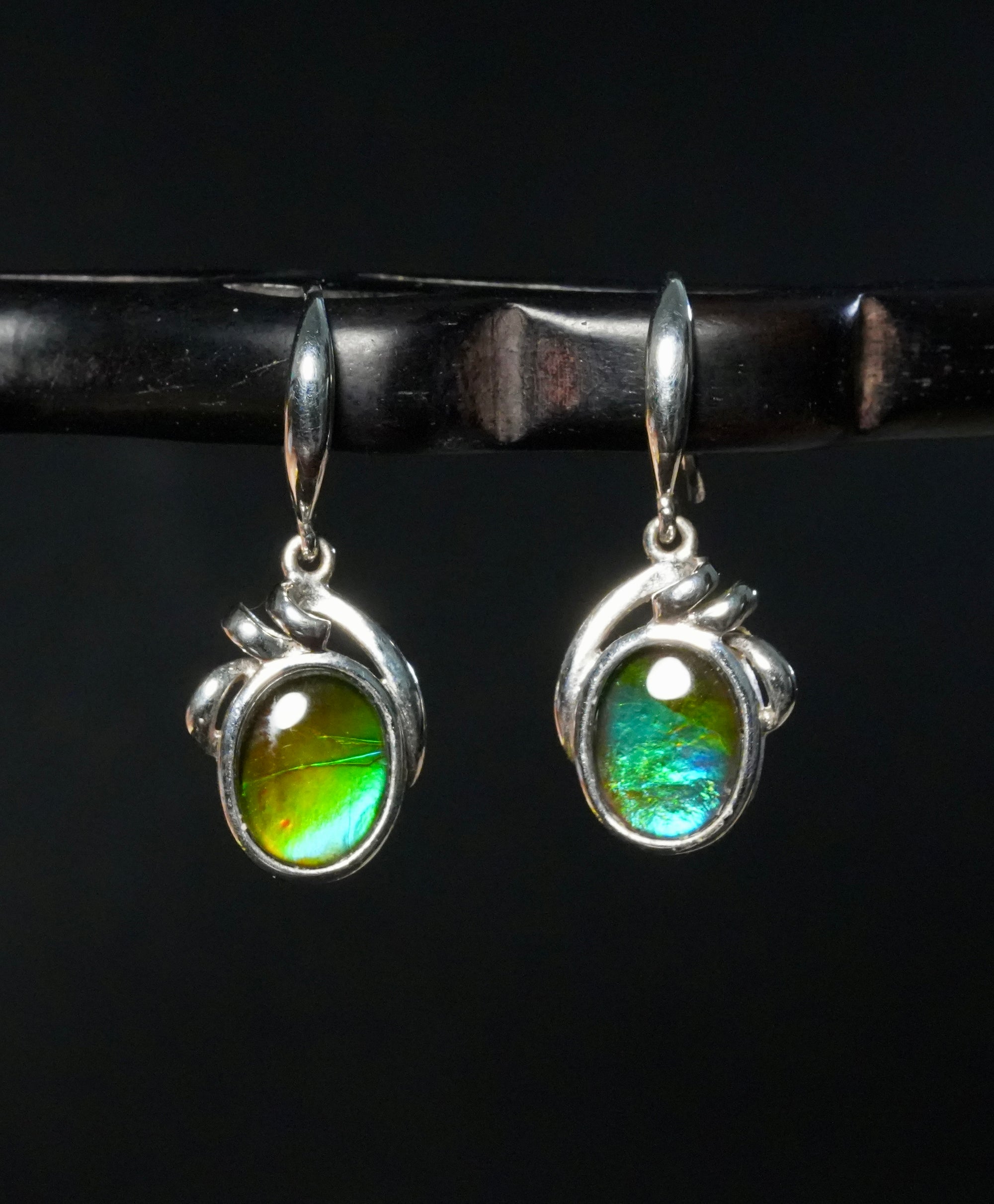 Ammolite Earrings #E167