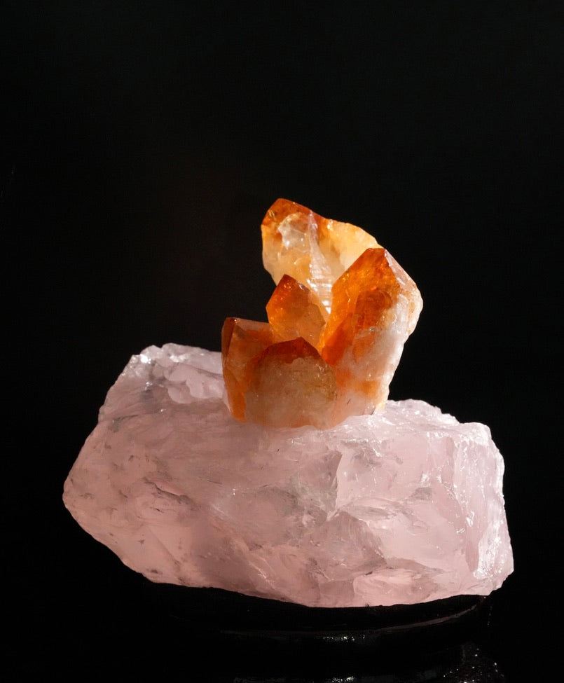 Double Fortune Citrine and Rose Quartz Crystal Display #2822