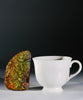 Top Grade Ammolite Display Stone #A606