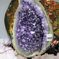 NATURAL AMETHYST ON METAL 2.24KG #1581