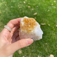 Citrine Display (0.54LB) #2506