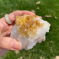 Citrine Display (0.54LB) #2506