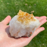 Citrine Display (0.54LB) #2506