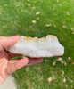 Citrine Display (0.35 LB) #2508