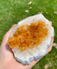 Citrine Display (0.94LB) #2505