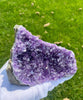 Amethyst Display (1.49 LB) #2509