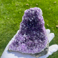 Amethyst Display (1.49 LB) #2509