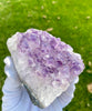 Amethyst Display (1.65 LB) #2510