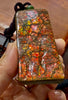 Natural Ammolite Polished One Piece Stone Pendant | #5008
