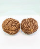 A matching pair of wild-grown Canadian palm walnuts (Wenwan Hetao), 100% natural and hand-polished with deep textured ridges for hand meditation.
