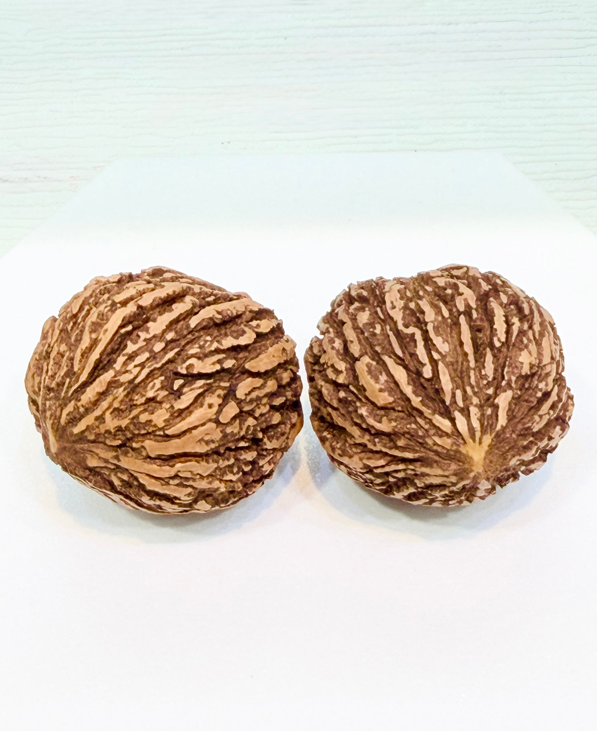 A matching pair of wild-grown Canadian palm walnuts (Wenwan Hetao), 100% natural and hand-polished with deep textured ridges for hand meditation.