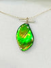 Rare Canadian Ammolite Pendant | #3259 | 1-of-1 Certified Ammolite Doublet