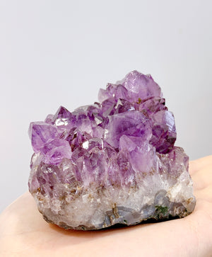 Amethyst Display #2337