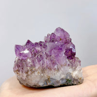 Amethyst Display #2337