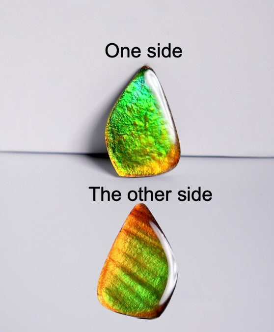 Double-Sided Freeform Ammolite Loose Gemstone #A367