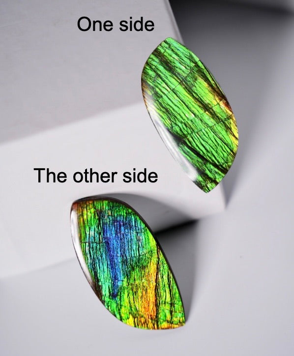 Double-Sided Freeform Ammolite Loose Gemstone #A368