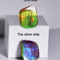 DOUBLE-SIDED FREEFORM AMMOLITE LOOSE GEMSTONE  #A370