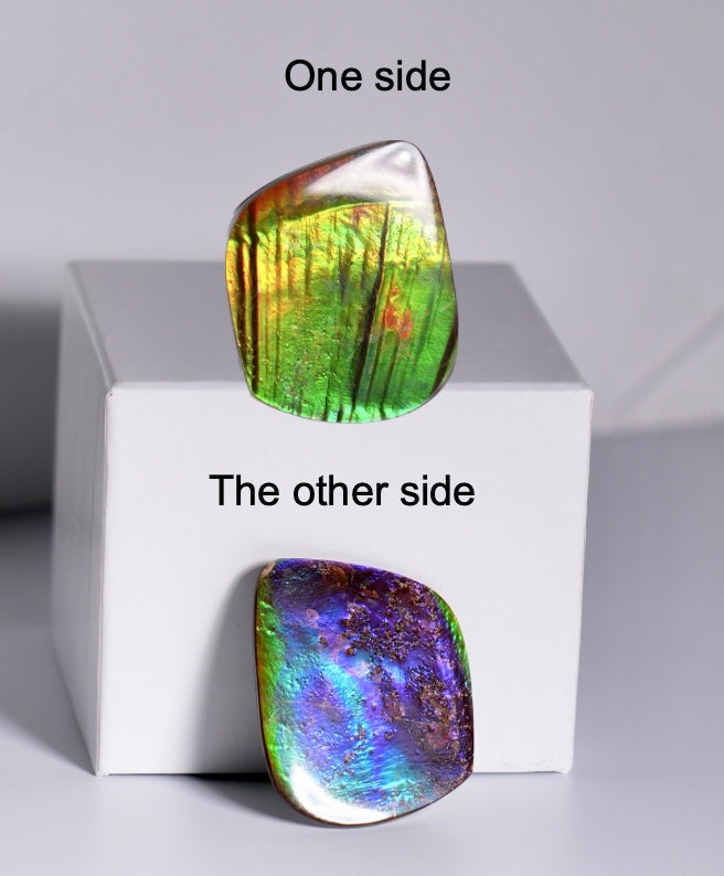 Double-Sided Freeform Ammolite Loose Gemstone  #A370