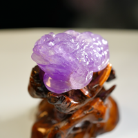 AMETHYST MONEY TOAD #2197