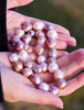 19" KASUMIGA FRESHWATER PEARL NECKLACE #1929