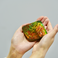 Top Grade Ammolite Display Stone #892