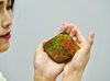 Top Grade Ammolite Display Stone #892