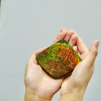 Top Grade Ammolite Display Stone #892