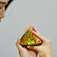 Top Grade Ammolite Display Stone #885