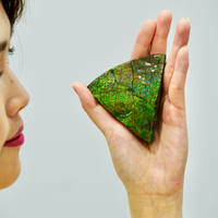 Top Grade Ammolite Display Stone #886