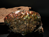 Polished Ammolite Stone #2540